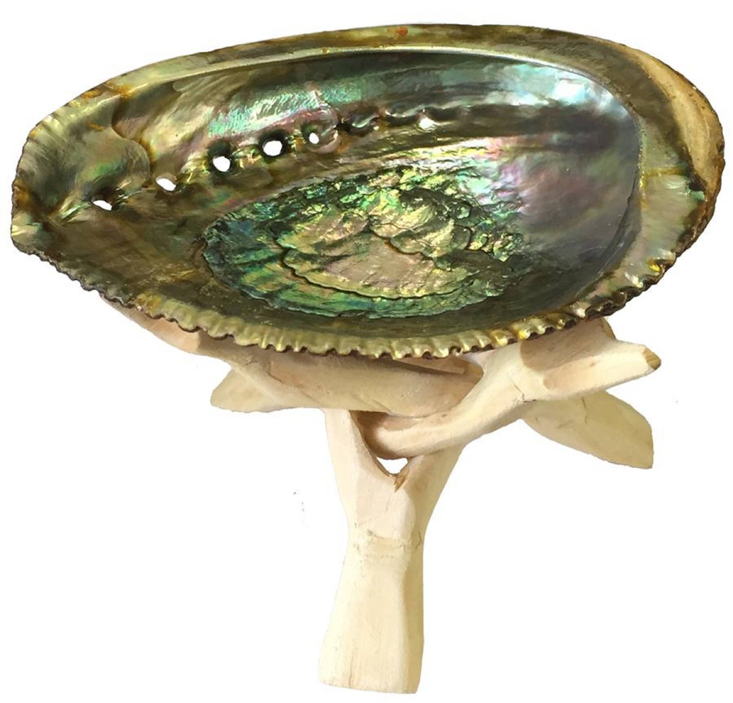 Abalone Shell Smudging Kit – 4"-5" Shell with Wooden Stand & White Sage Bundle